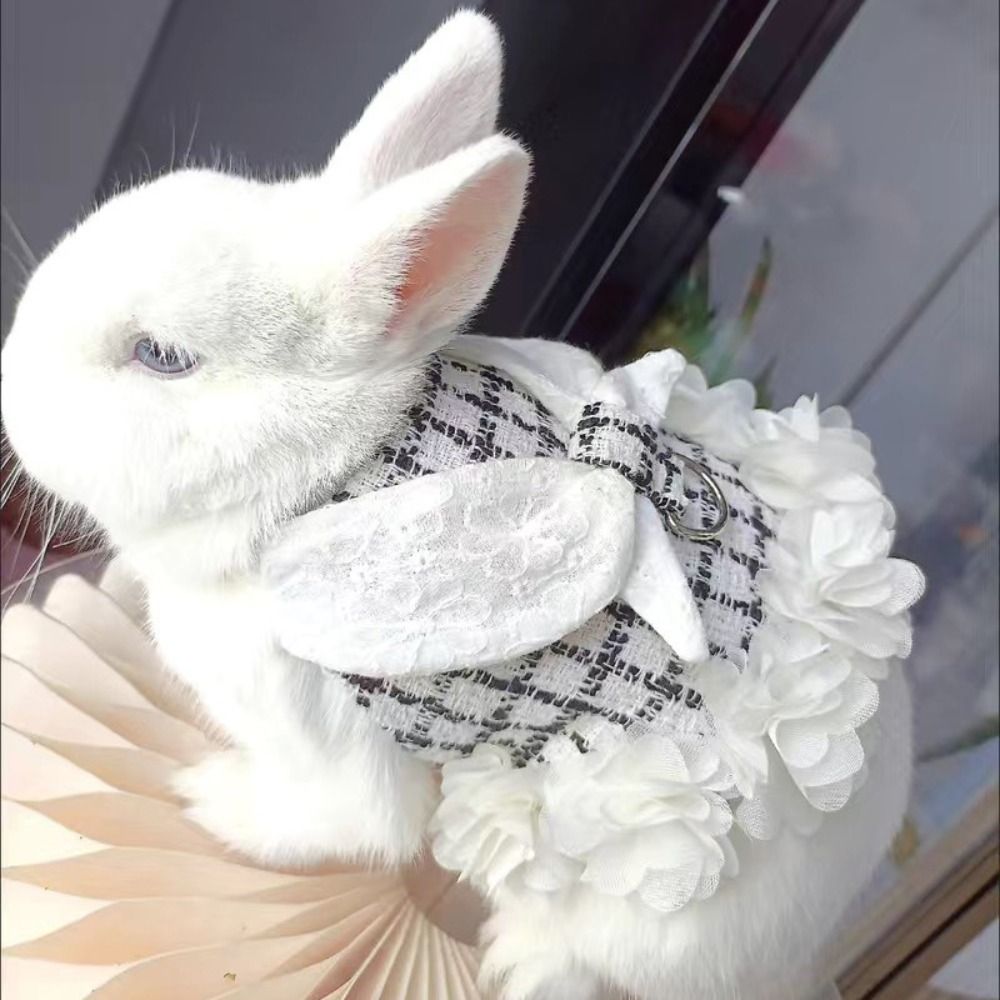 Adorable Decor Adjustable Rabb - Outdoor Adventure Outfit 评论和价格