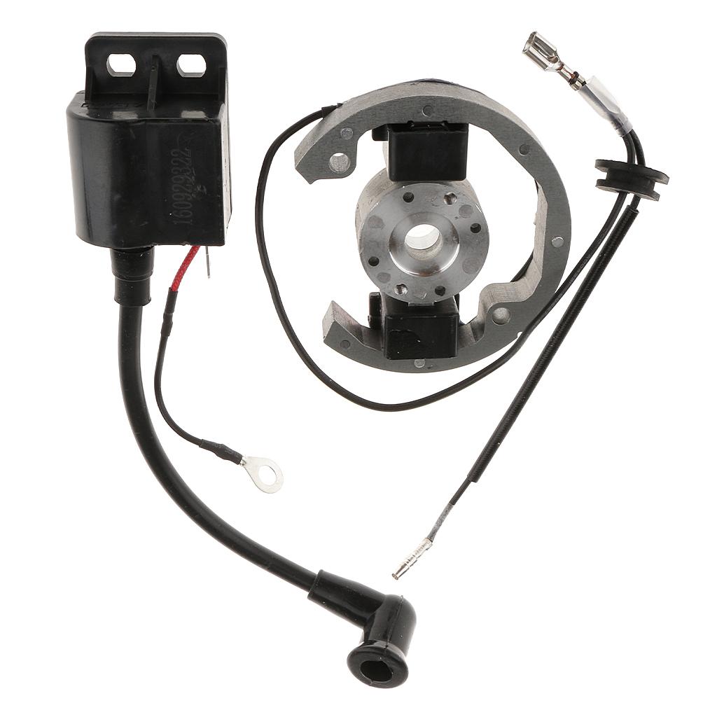 Magneto Stator Rotor Ignition  - Outdoor Adventure Kit 评论和价格