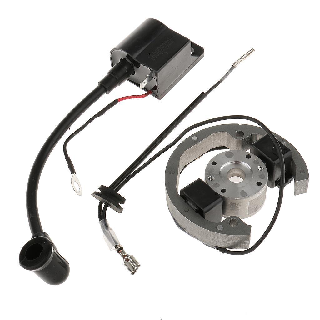 Magneto Stator Rotor Ignition  - Outdoor Adventure Kit 评论和价格